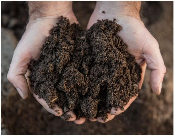 Soil（感謝）/4 4w.png?v=1616528647