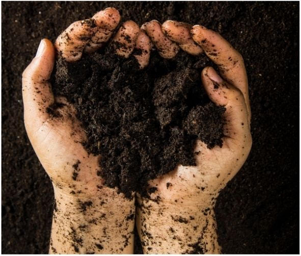 75/25 Soil (Heavy)
